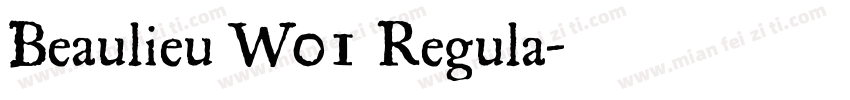 Beaulieu W01 Regula字体转换